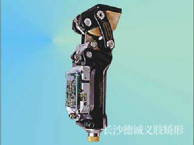 膝關節16
